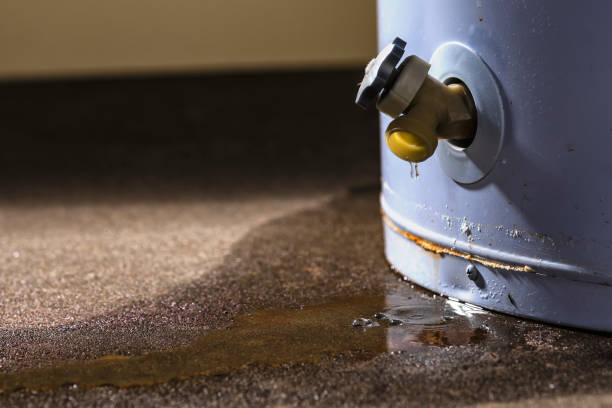 Best Flooded house restoration  in Merion Station, PA