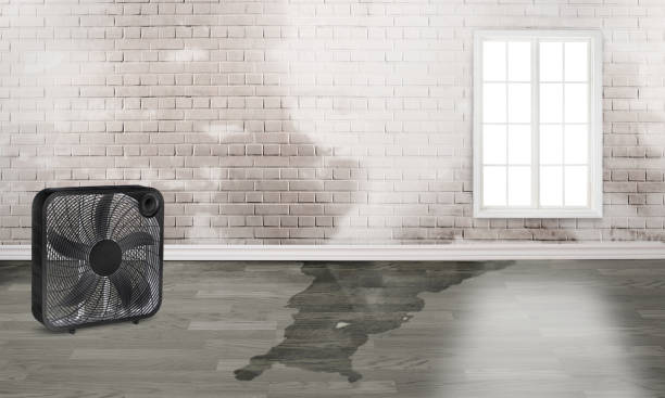 Best Water damage mitigation services  in Merion Station, PA
