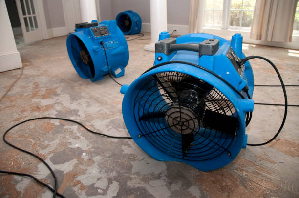 Best Carpet water damage restoration  in Merion Station, PA