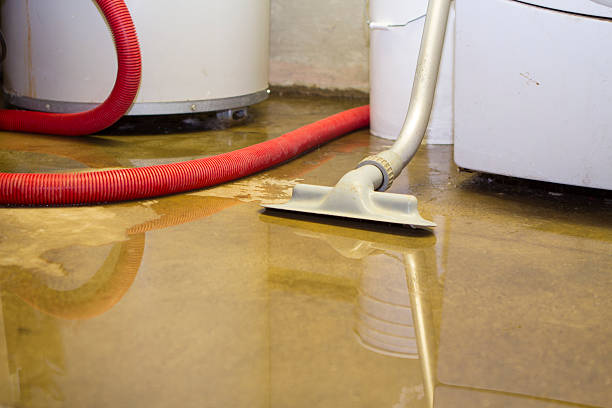 Best Professional water damage repair  in Merion Station, PA
