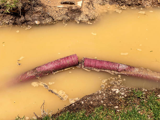 Best Water damage restoration near me  in Merion Station, PA